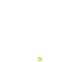 Zambian Breweries
